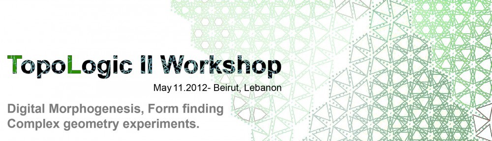 TopoLogic Workshop – Lebanon 2012